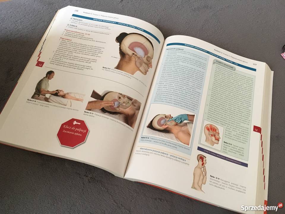 Tanio Badanie palpacyjne J Muscolino miękka Książki naukowe i popularnonaukowe kujawsko-pomorskie Bydgoszcz