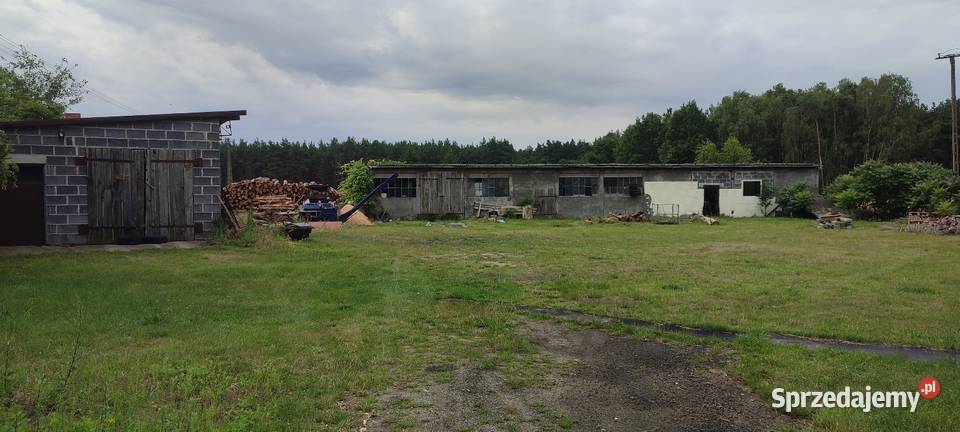 Dom Garaż hala działka Sprzedaż Michalinów