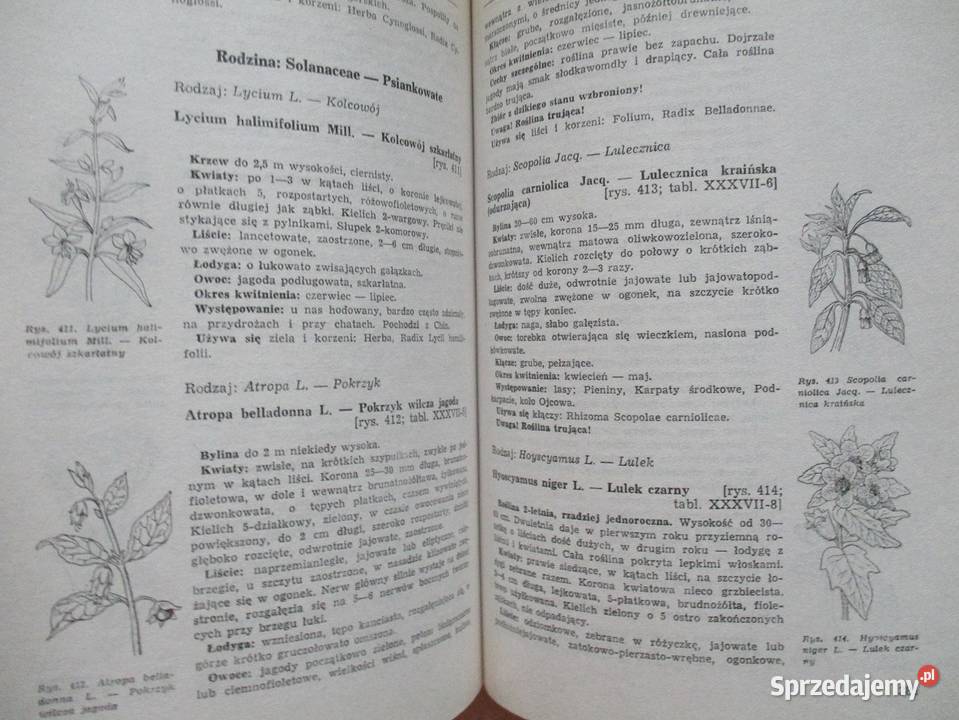 Rośliny lecznicze i przemysłowe klucz do Łódź