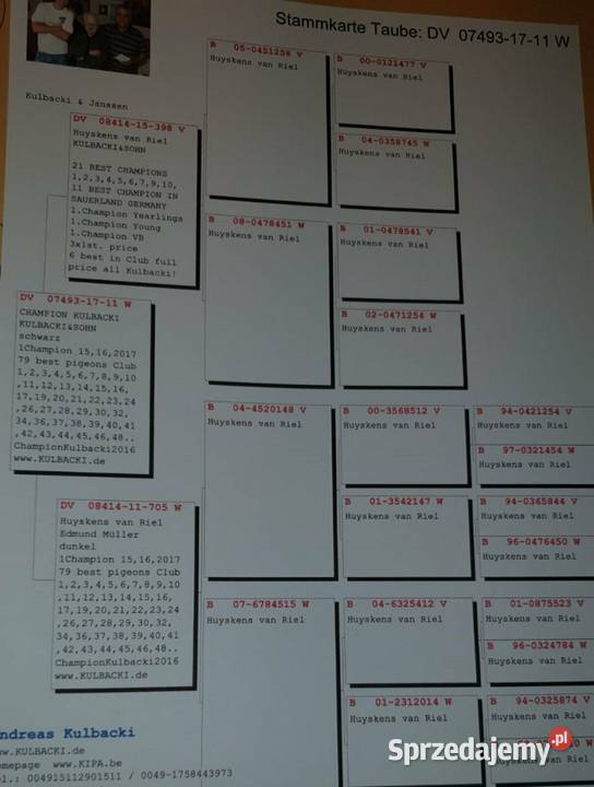 Golomp pocztowy Huyskens van Riel Paczyna