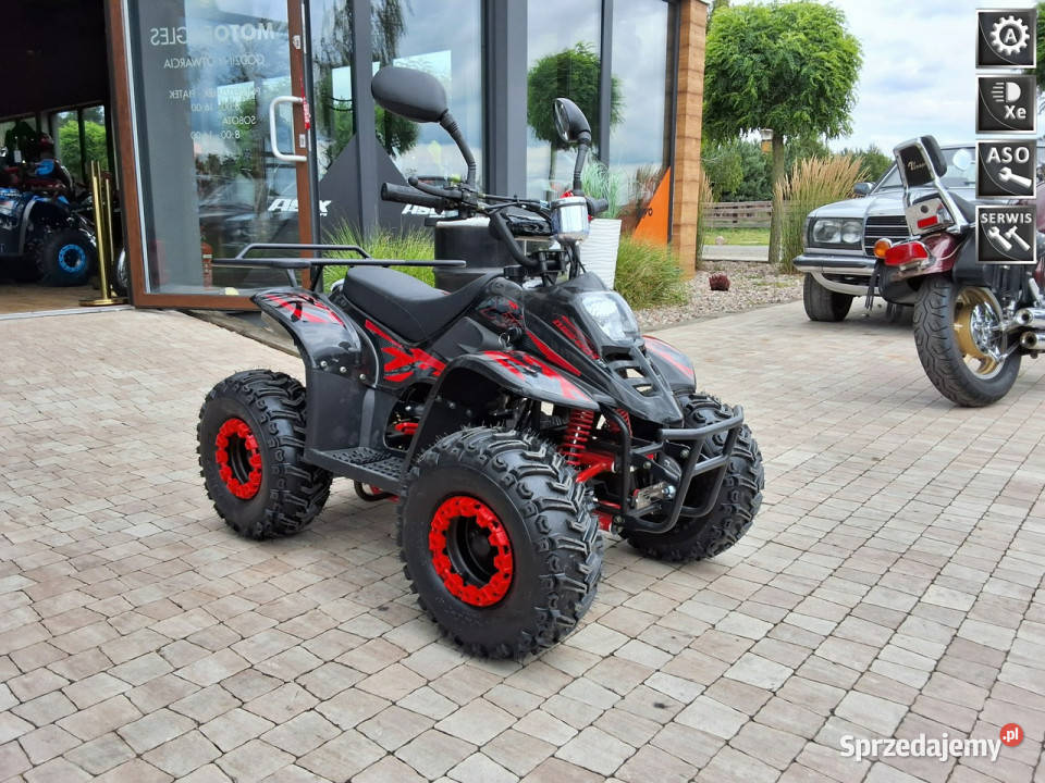 XTR Inny Bigfoot 125 Pro kładquad czterokołowiec Bicz sprzedam