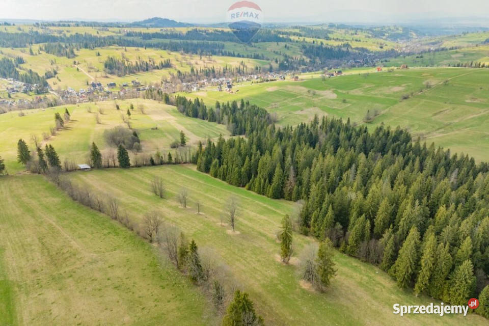 DZIAŁKA ROLNA SPRZEDAŻ ZĄB LIGASÓWKA