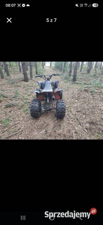 Sprzedam quad bashan 250 mazowieckie Mszczonów sprzedam