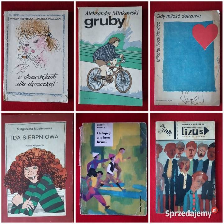 książki młodzieżowe Bukowno
