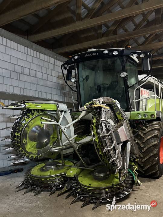 Claas Orbis 600 Gołasze Mościckie