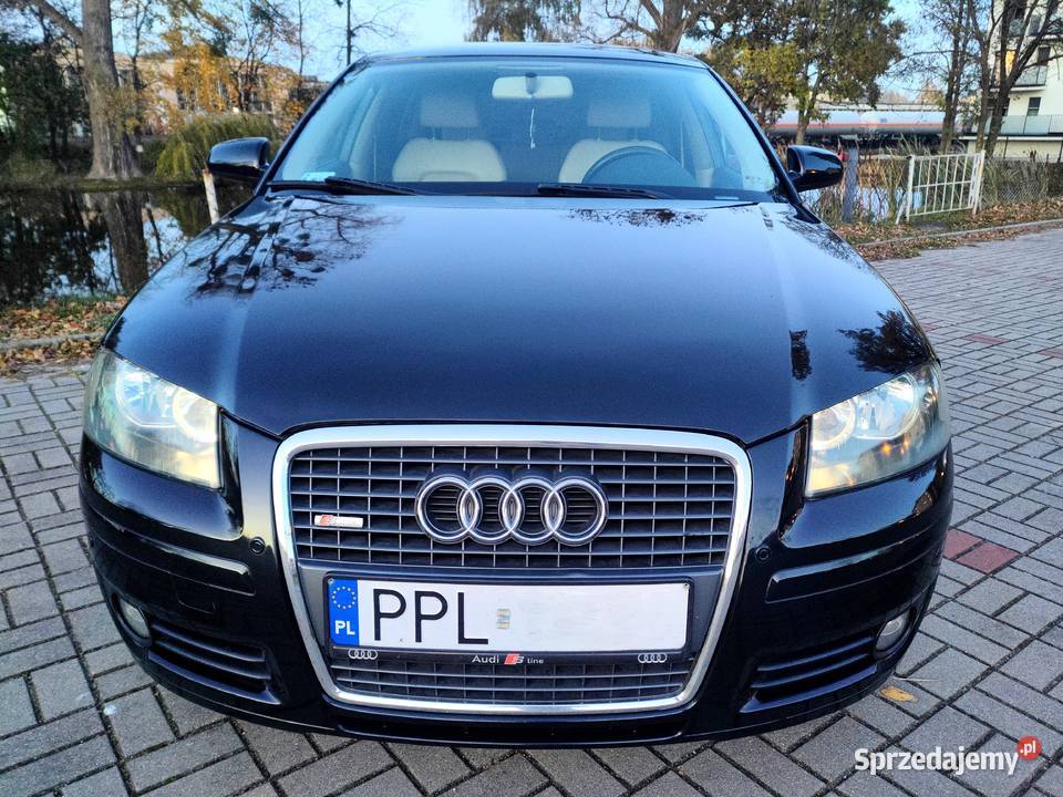 Audi A3 8P Sportback 20TDI 16V 140 manual Pleszew
