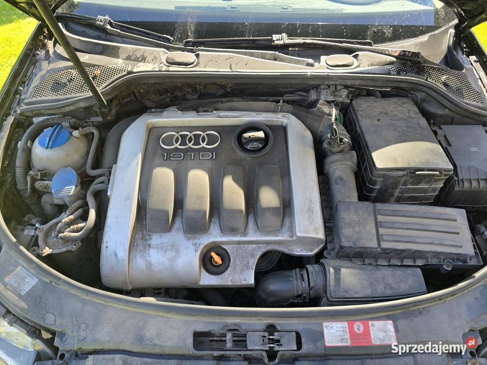 Audi a3 19 tdi BKC 2005 r Orzech