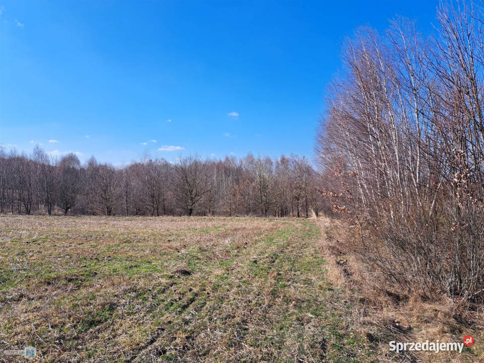 Działka na sprzedaż 5974m2 Łagów 140m świętokrzyskie