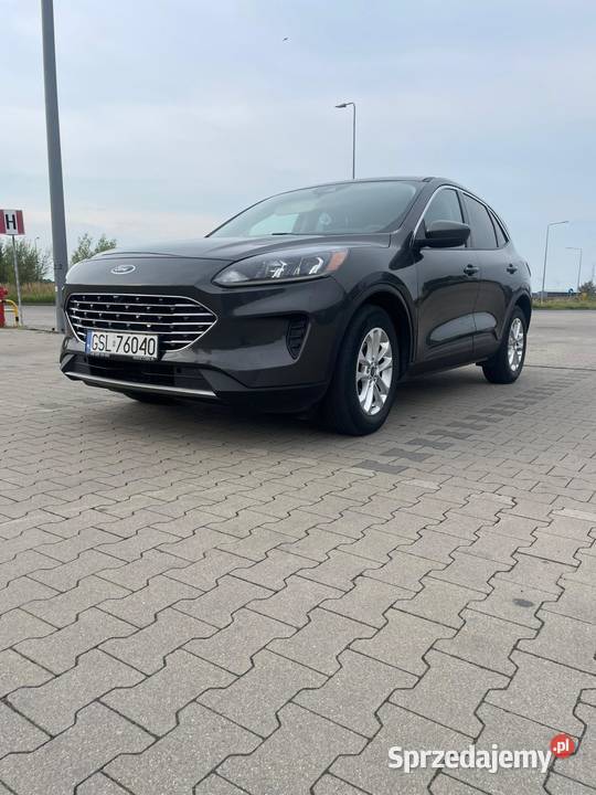 Ford Escape Słupsk