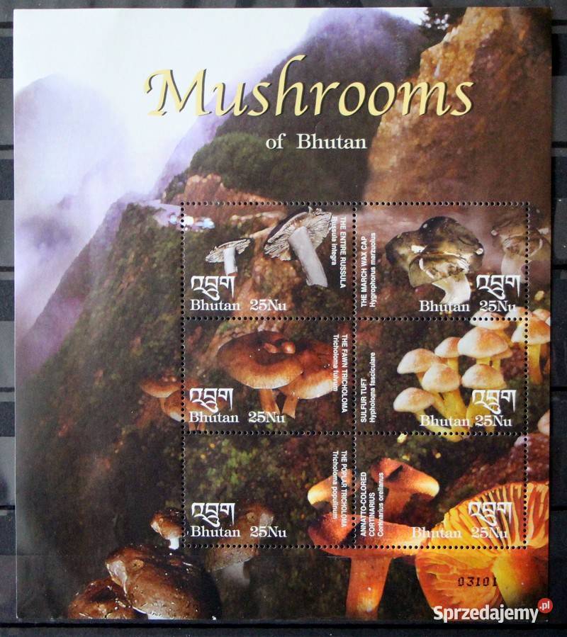 Bhutan arkusik grzyby wielkopolskie Oborniki