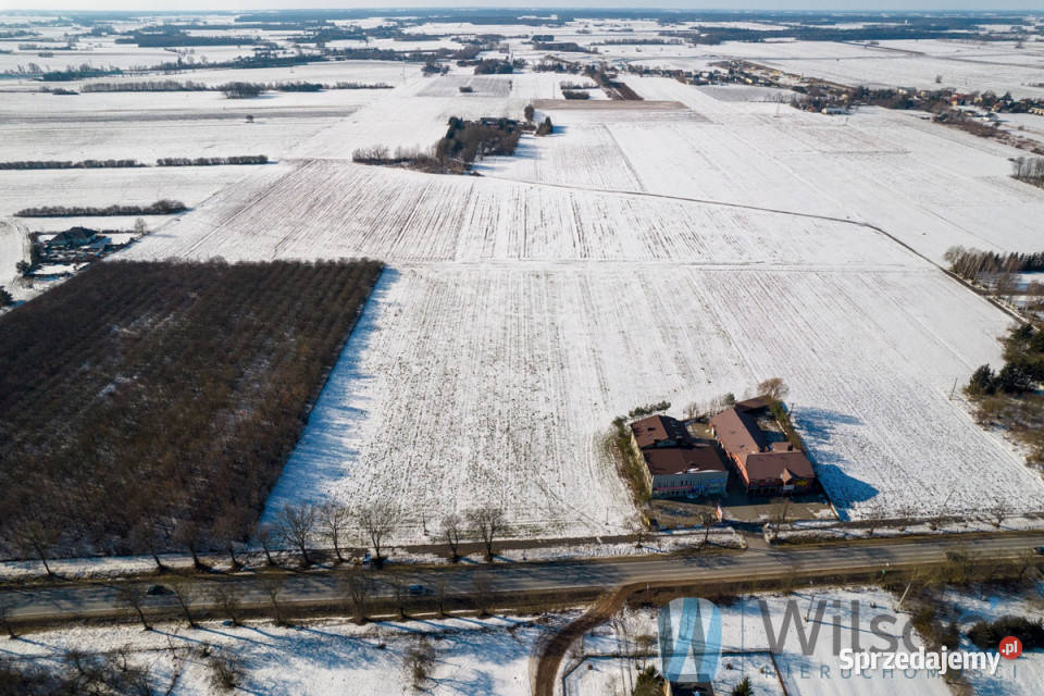 Grunt 30907m2 Jeżewo 200m