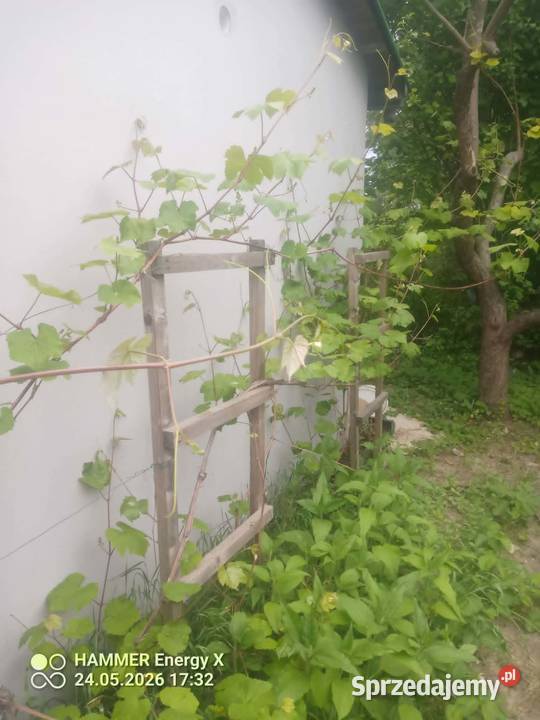 Działka ROD Warszawa Bemowo Sprzedaż sprzedam