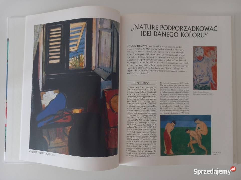 Sztuka Malarstwo Henri Matisse seria Oxford Kraków sprzedam