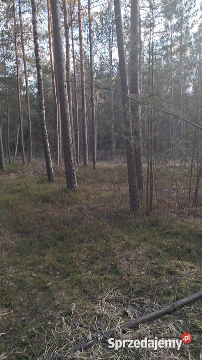 Sprzedam działkę rekreacyjną Karolówka