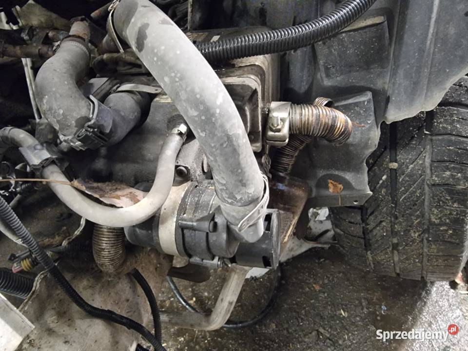 webasto ogrzewanie postojowe Peugeot Boxer Fiat Bodzentyn sprzedam