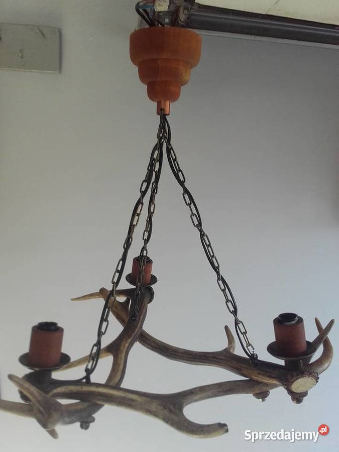 Piękny żyrandol z poroża Jelenia