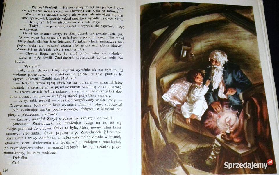 Królestwo bajki Ewa SzelburgZarembina Rok wydania 1975