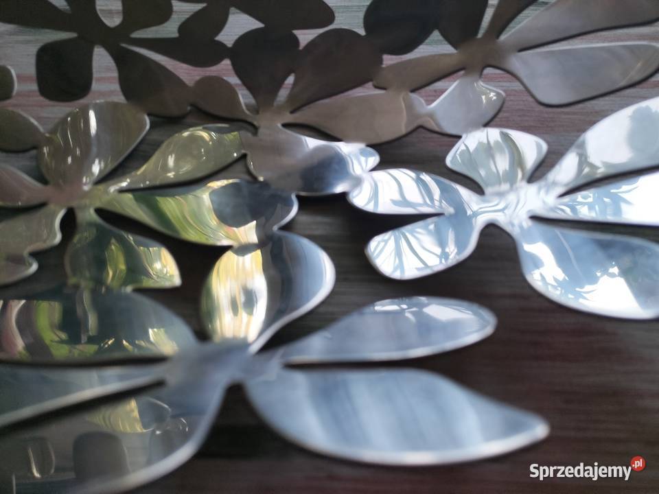 Patera na owoce stał nierdzewna