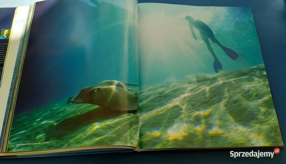 Planeta mórz Laurent Ballesta i Pierre Descamp twarda z obwolutą Gdańsk sprzedam