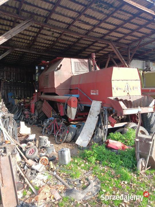 Sprzedam Bizona i Rekorda Bizon Bolesławiec