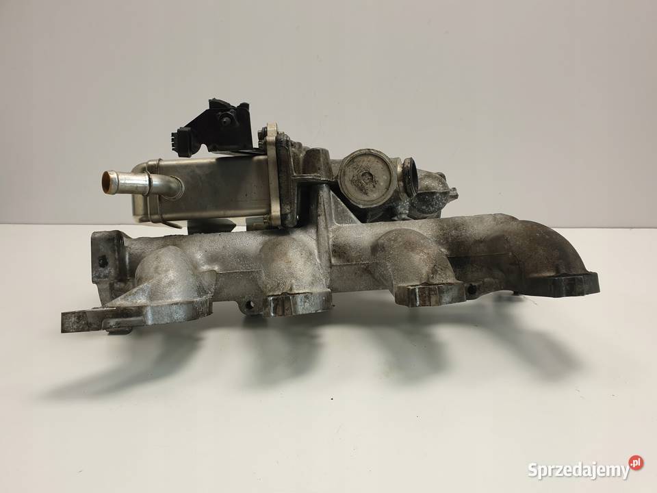 Renault Scenic III 19 DCI ZAWÓR EGR chłodnica Recyrkulacja spalin EGR Chełm