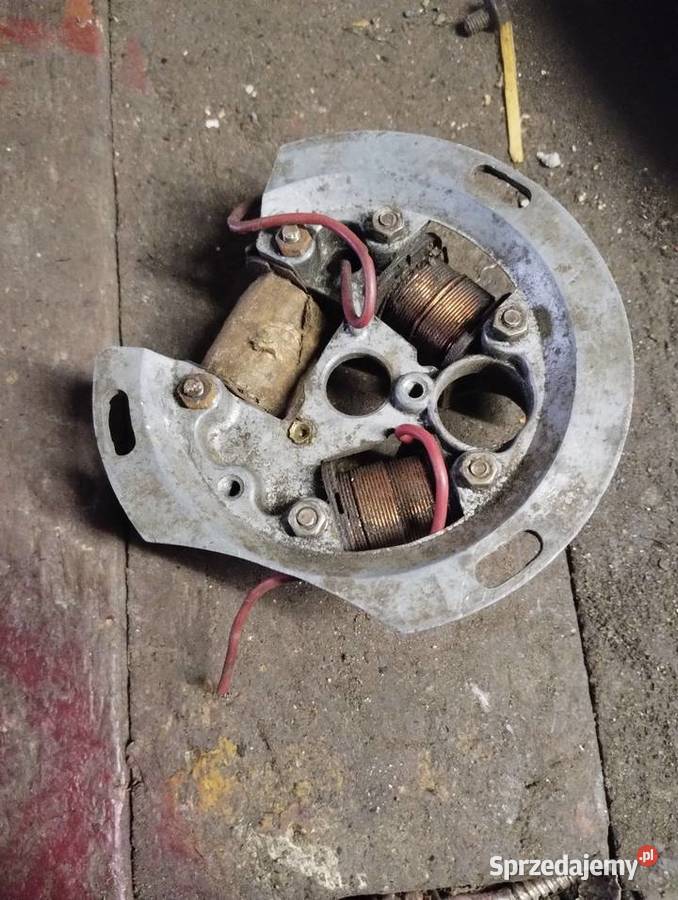 Komar iskrownik podkarpackie Rzeszów