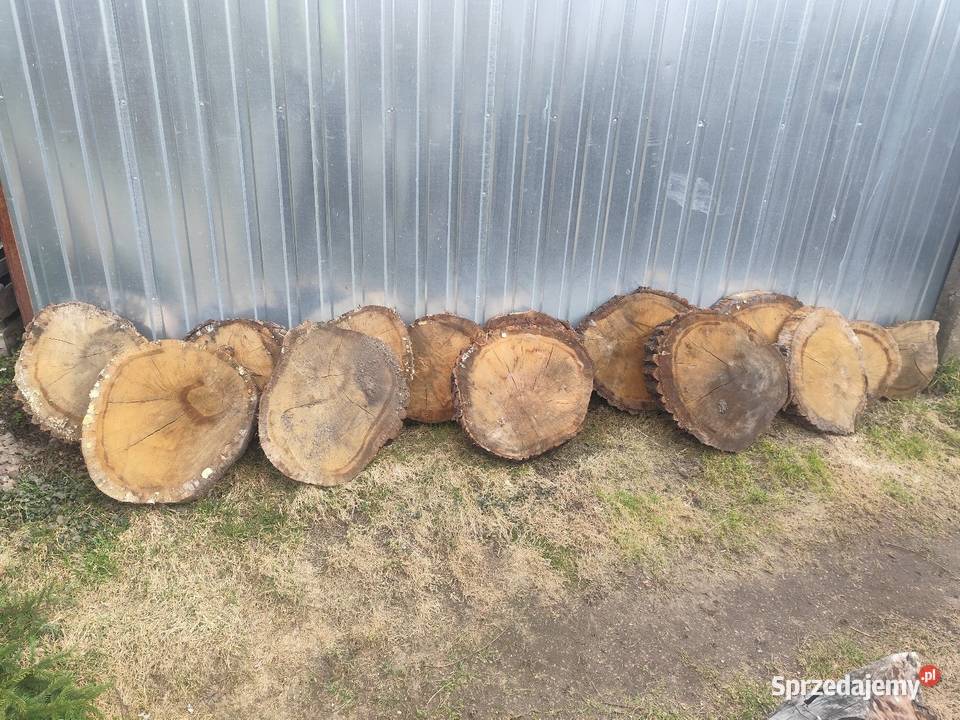 Sprzedam plastry dembu ostatnie 14 Pruszcz Gdański