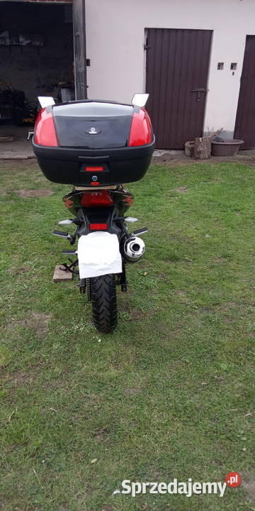 Motorower Benzer Bolt 50110 ccm 3