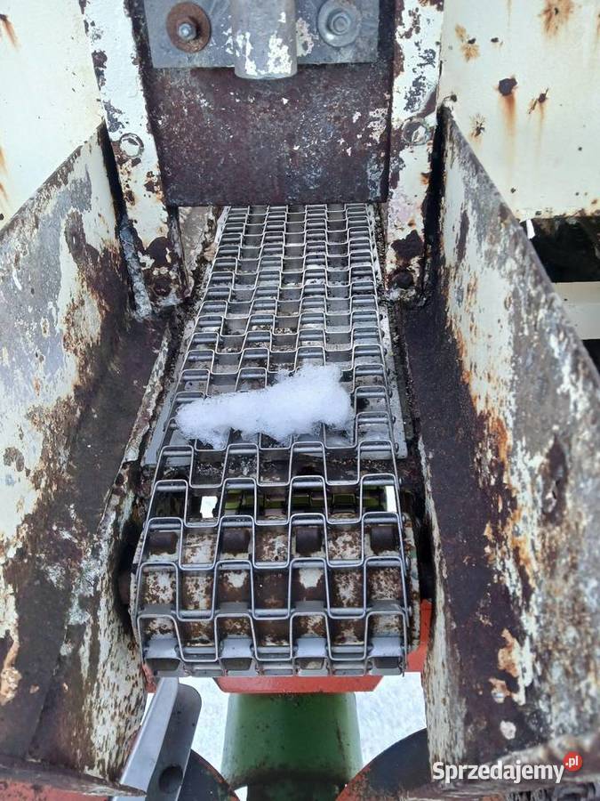 Rosiewacz Wapna unsin z Niemiemiec rosiewacz Nowy Korczyn