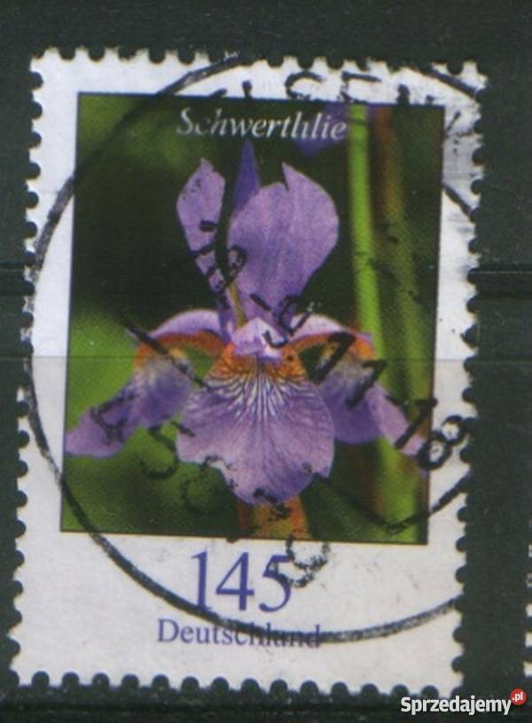 Zn RFN Mi 2505 7 kas 2006 Antyki, Sztuka, Kolekcje