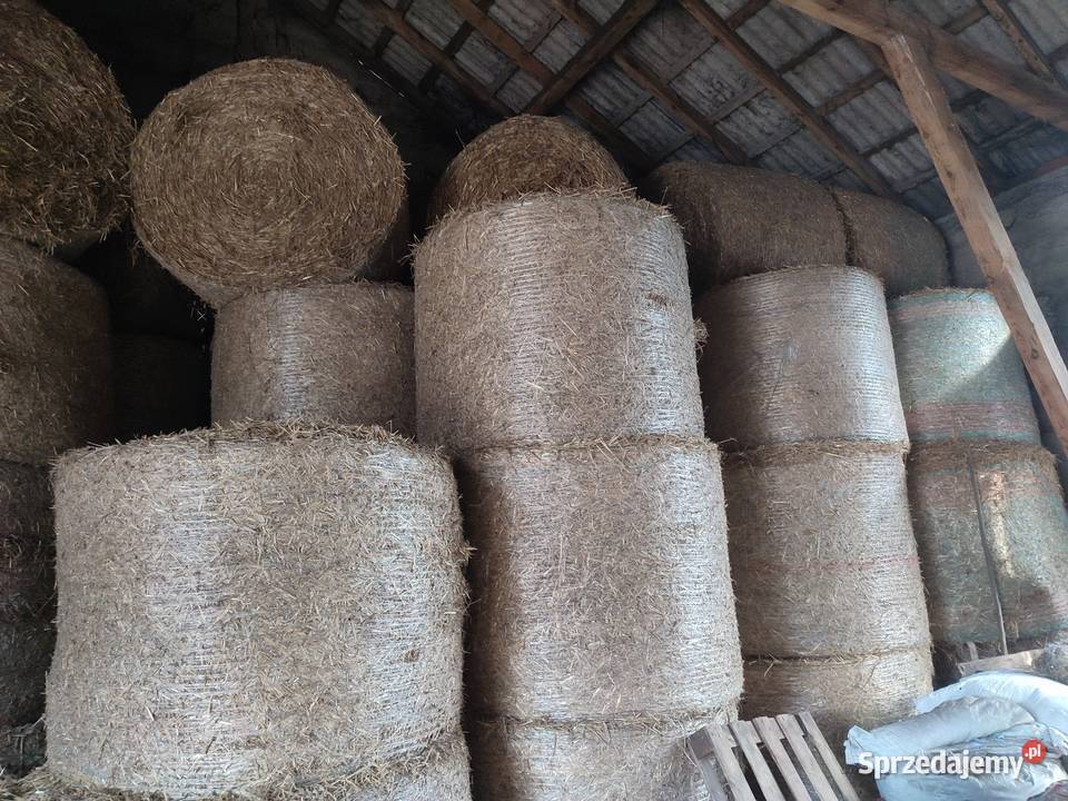 Słoma z żniw 2025 łódzkie Rusiec