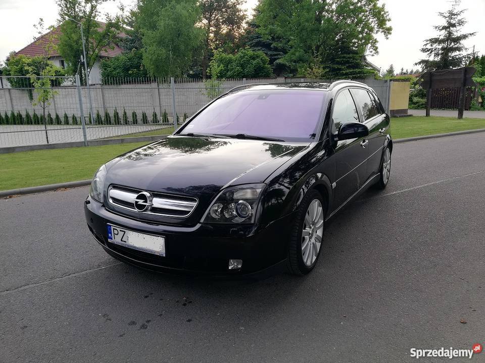 Opel Signum 30 V6 Full Xenon Lodówka Skóry Navi kurtyny powietrzne Signum Poznań