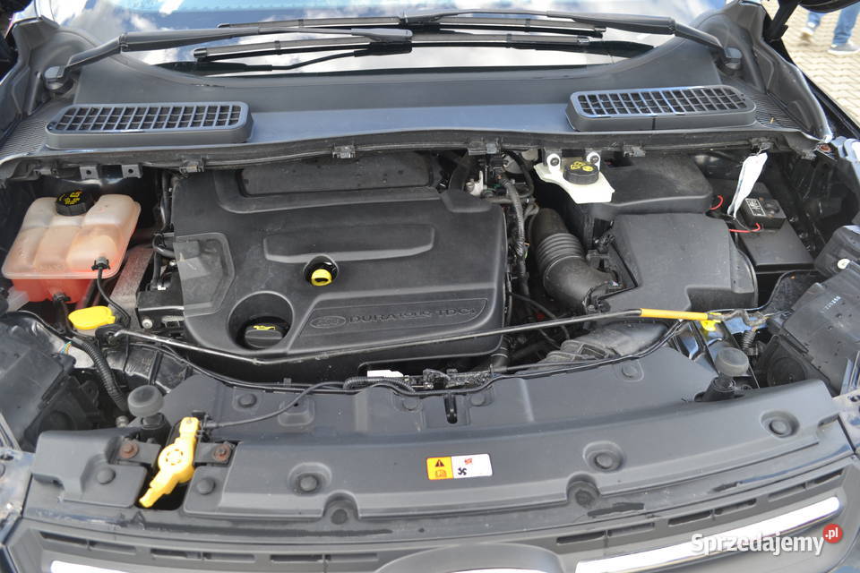 Ford Kuga 4x4 z Niemiec OPŁACONA 30 ESP Zgorzelec