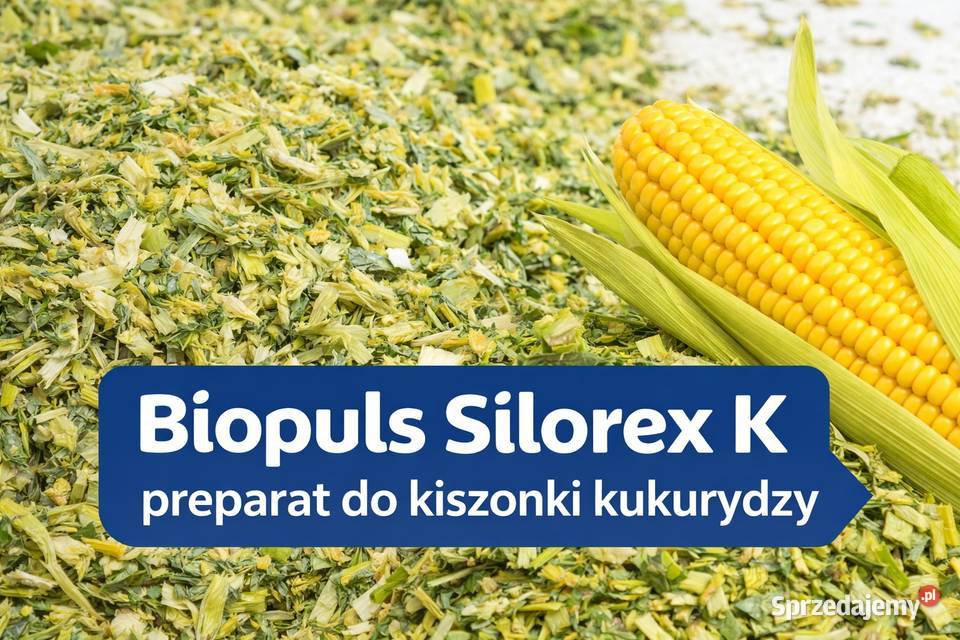 Biopuls Silorex K do kiszonki kukurydzy Karton Stryków
