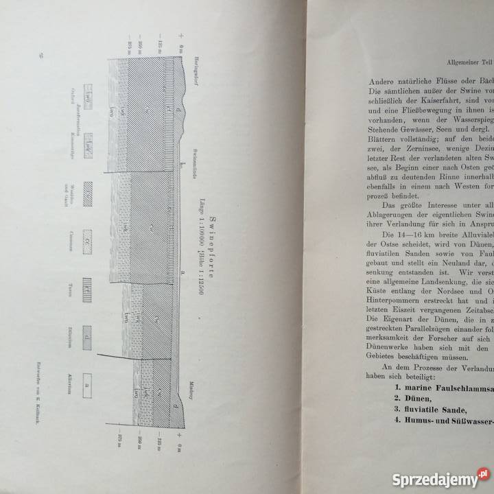 877 Geologischen Karte Szczecin