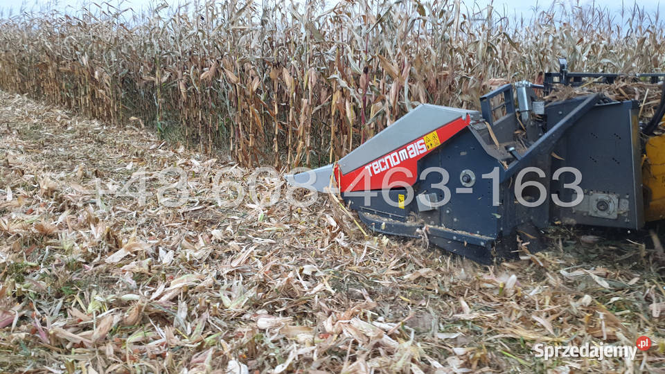 Przystawka do kukurydzy TECNOMAIS 5 rzędowa nieuszkodzony Gołaczewy sprzedam