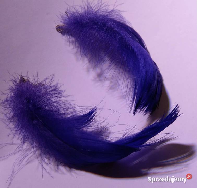 Fioletowe kolczyki pióra piórko pióro wysyłka Warszawa sprzedam