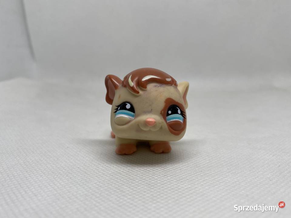 LPS Littlest pet shop świnka morska 683 łódzkie Łódź