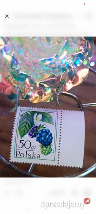Kolekcjonerski Znaczek Pocztowy Jeżyna Popielica kujawsko-pomorskie Bydgoszcz