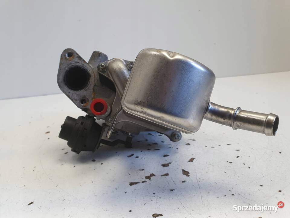 Renault Scenic III 19 DCI CHŁODNICA SPALIN egr osobowe Rudka