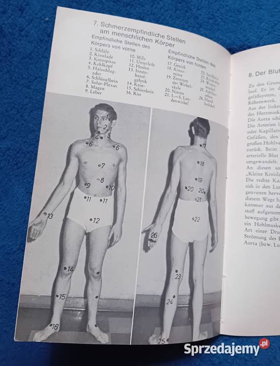 Alfred Hasemeier KarateSpitzenklasse Hoche Koźminek