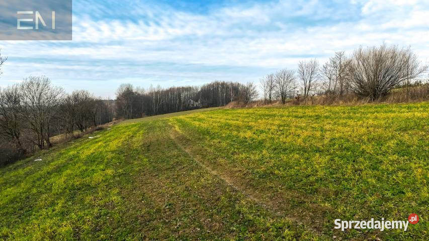 Działka 4300m Gogołów 115m