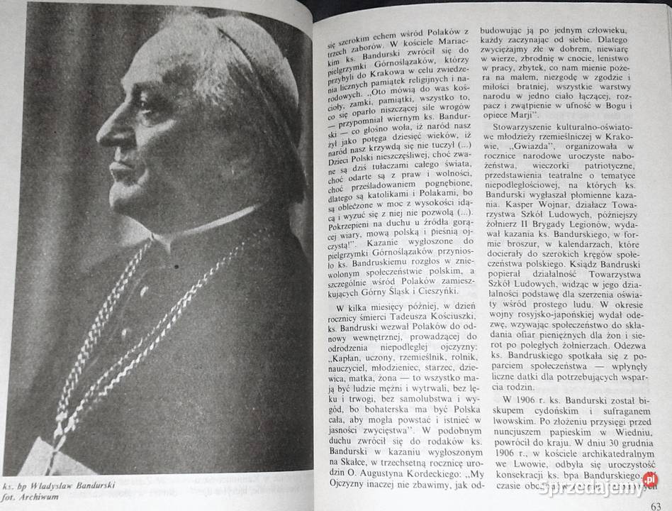 Odpowiedzialność i czyn 041989 Jerzy Ozdowski sprzedam