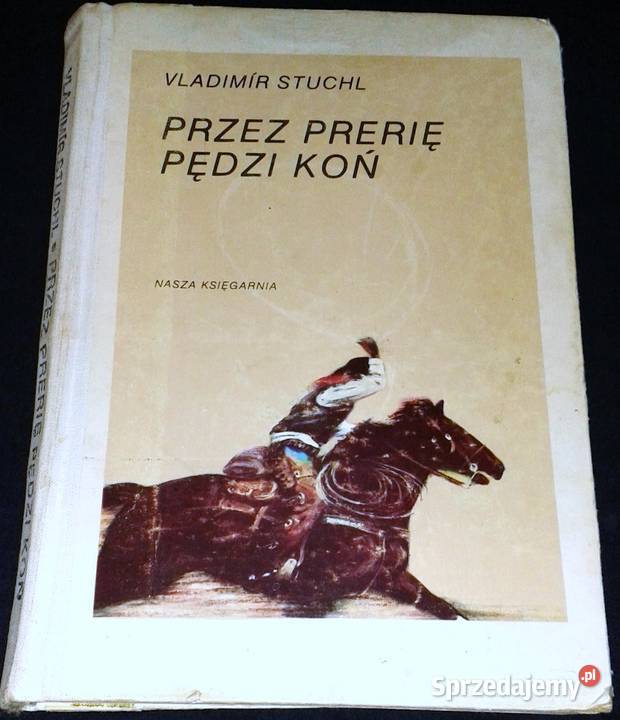 prerię pędzi koń Vladimr Stuchl Pozostałe lubelskie Chełm