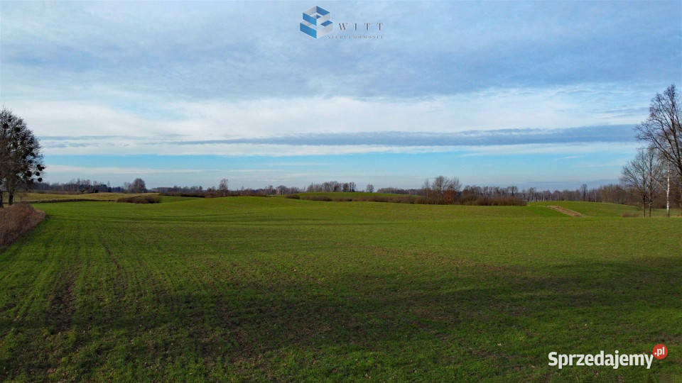 Działka Liwa 35800m2