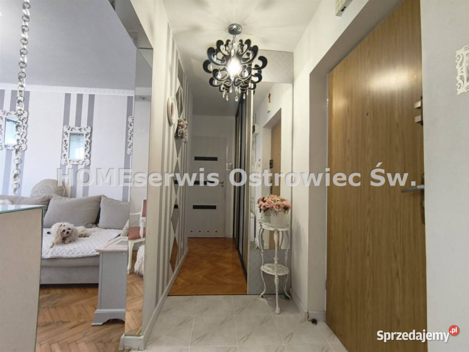 Mieszkanie 4702m2 Ostrowiec Świętokrzyski Liczba pokoi 2 Sprzedaż