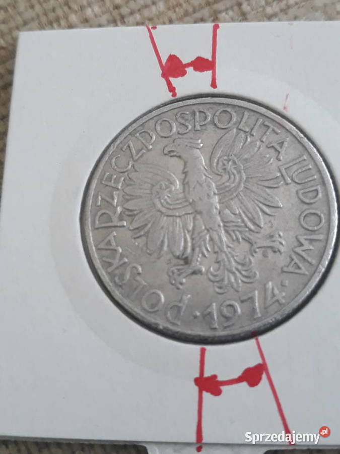 5 Rybak 1974 r 1 Skrętka wielkopolskie sprzedam