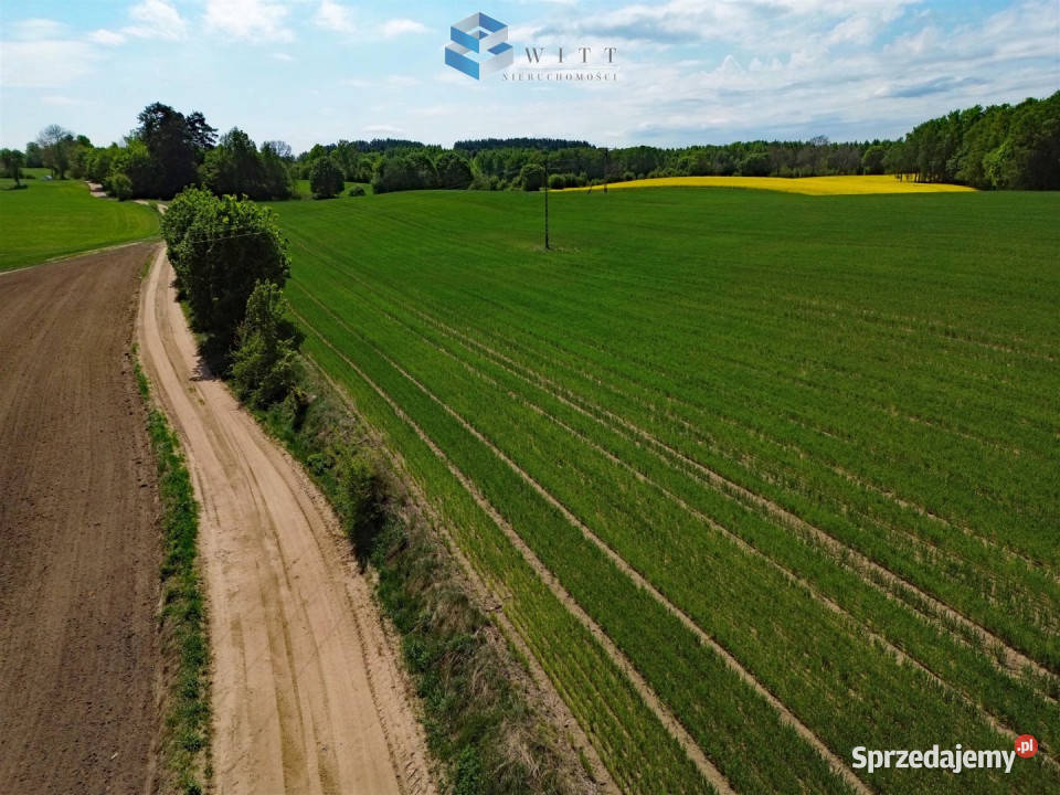 Grunt do sprzedania Rudno 53200m2