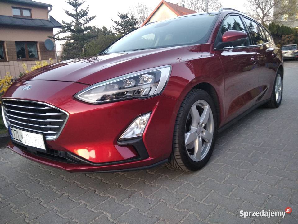 Ford Focus Full Led Panorama ACC HeadUp BO Radar kamera cofania Focus Złotoryja