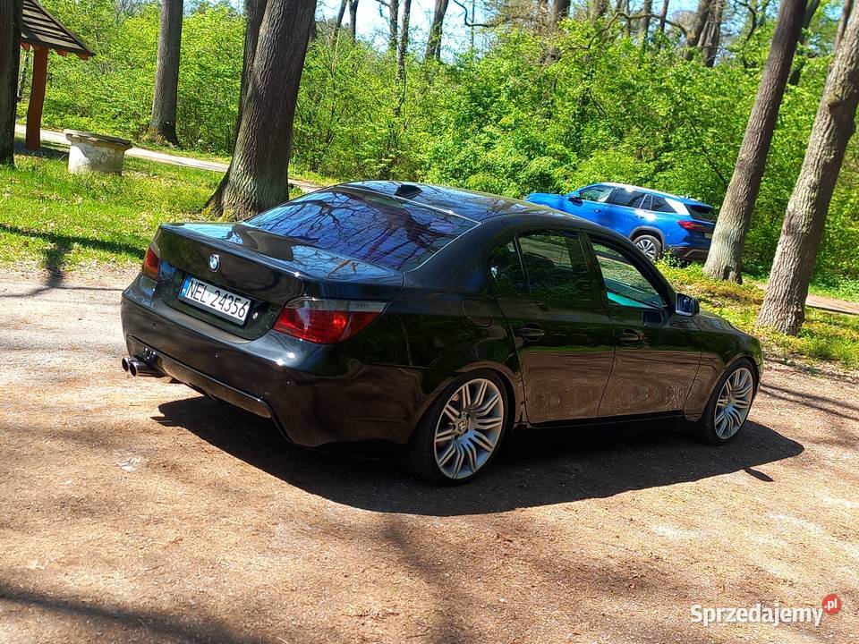 BMW E60 530d gwint m pakiet Dąbrowa Tarnowska sprzedam